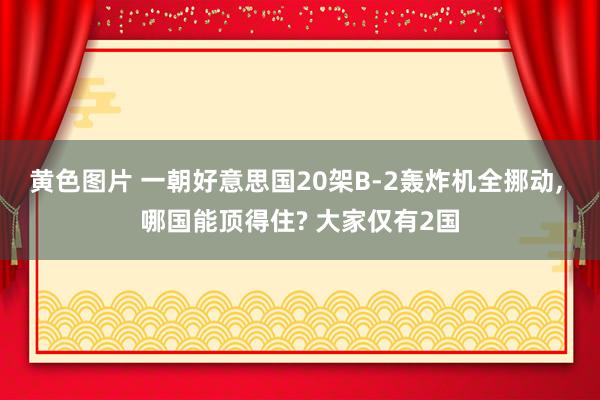 黄色图片 一朝好意思国20架B-2轰炸机全挪动， 哪国能顶得住? 大家仅有2国