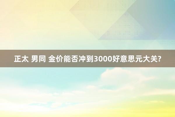 正太 男同 金价能否冲到3000好意思元大关?