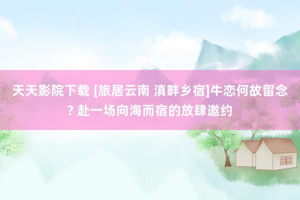 天天影院下载 [旅居云南 滇畔乡宿]牛恋何故留念? 赴一场向海而宿的放肆邀约